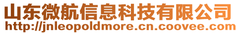 山東微航信息科技有限公司