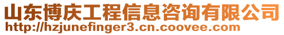 山東博慶工程信息咨詢有限公司