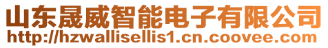 山東晟威智能電子有限公司