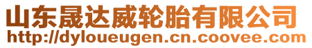 山東晟達威輪胎有限公司