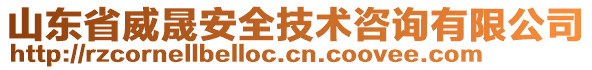 山东省威晟安全技术咨询有限公司