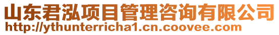 山东君泓项目管理咨询有限公司