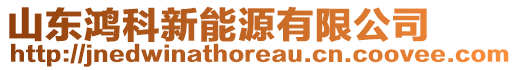 山东鸿科新能源有限公司