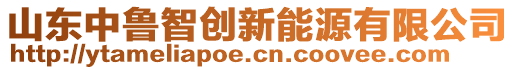 山東中魯智創(chuàng)新能源有限公司