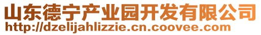 山东德宁产业园开发有限公司