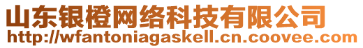 山東銀橙網(wǎng)絡(luò)科技有限公司