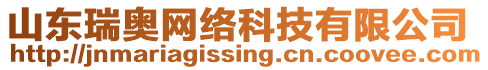 山東瑞奧網(wǎng)絡(luò)科技有限公司