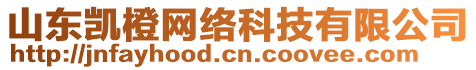 山東凱橙網(wǎng)絡科技有限公司