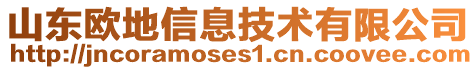 山東歐地信息技術(shù)有限公司