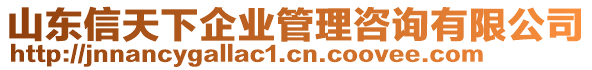 山東信天下企業(yè)管理咨詢有限公司