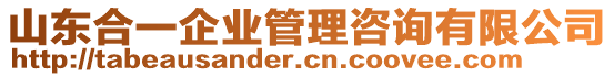 山東合一企業(yè)管理咨詢(xún)有限公司