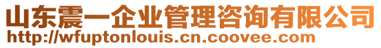 山東震一企業(yè)管理咨詢有限公司