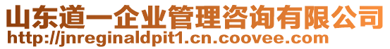 山東道一企業(yè)管理咨詢有限公司