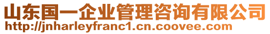 山東國一企業(yè)管理咨詢有限公司