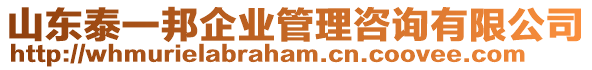 山東泰一邦企業(yè)管理咨詢有限公司