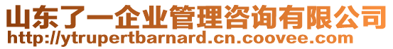 山東了一企業(yè)管理咨詢有限公司