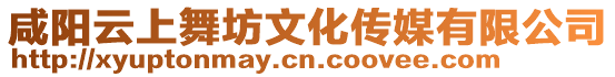 咸陽(yáng)云上舞坊文化傳媒有限公司
