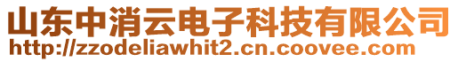 山東中消云電子科技有限公司