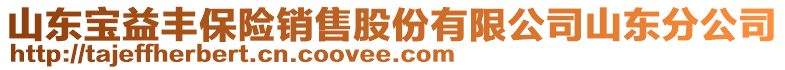 山東寶益豐保險銷售股份有限公司山東分公司