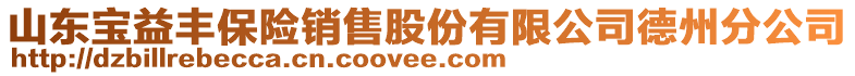 山東寶益豐保險銷售股份有限公司德州分公司