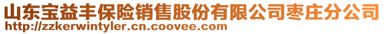 山東寶益豐保險銷售股份有限公司棗莊分公司