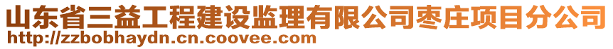 山東省三益工程建設(shè)監(jiān)理有限公司棗莊項(xiàng)目分公司