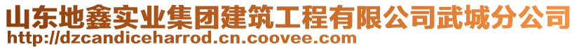 山东地鑫实业集团建筑工程有限公司武城分公司