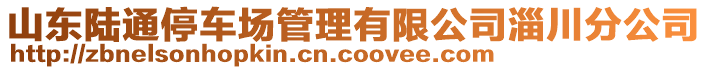 山東陸通停車場管理有限公司淄川分公司