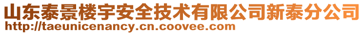 山東泰景樓宇安全技術有限公司新泰分公司