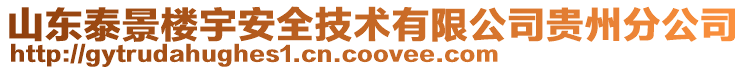 山東泰景樓宇安全技術有限公司貴州分公司