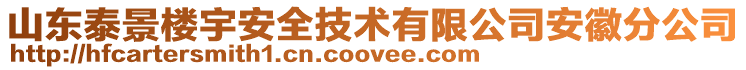 山東泰景樓宇安全技術(shù)有限公司安徽分公司