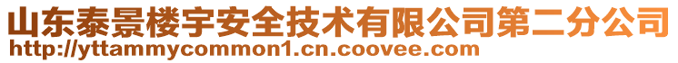 山東泰景樓宇安全技術有限公司第二分公司