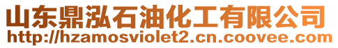 山東鼎泓石油化工有限公司