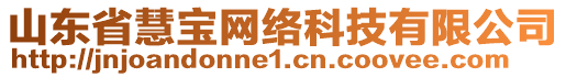 山東省慧寶網(wǎng)絡(luò)科技有限公司