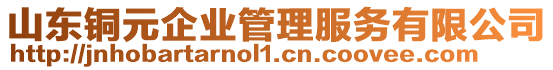 山東銅元企業管理服務有限公司