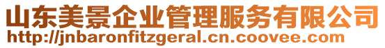 山東美景企業(yè)管理服務(wù)有限公司