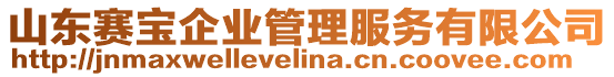 山東賽寶企業(yè)管理服務(wù)有限公司