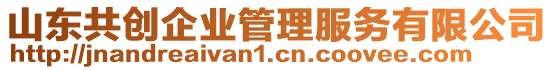 山東共創(chuàng)企業(yè)管理服務(wù)有限公司