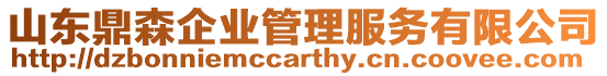 山東鼎森企業(yè)管理服務(wù)有限公司