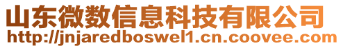 山東微數(shù)信息科技有限公司