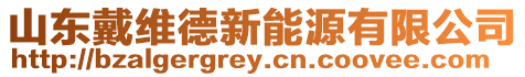 山東戴維德新能源有限公司