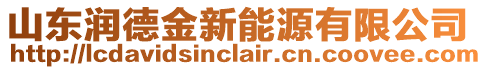 山東潤德金新能源有限公司