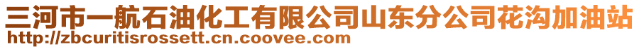 三河市一航石油化工有限公司山東分公司花溝加油站