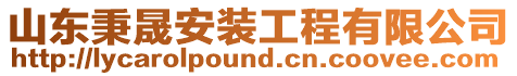 山東秉晟安裝工程有限公司