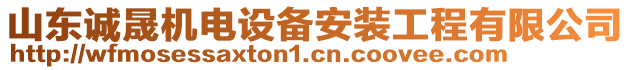 山東誠晟機電設(shè)備安裝工程有限公司