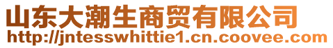 山東大潮生商貿(mào)有限公司