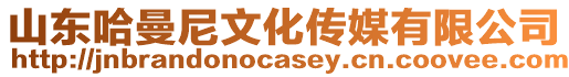 山東哈曼尼文化傳媒有限公司