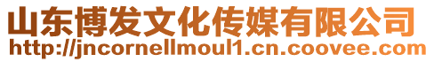 山東博發(fā)文化傳媒有限公司