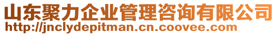 山東聚力企業(yè)管理咨詢有限公司