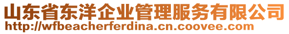 山東省東洋企業(yè)管理服務(wù)有限公司